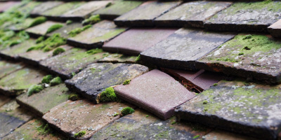 Worfield roof repair costs